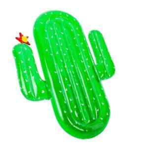 Gonfiabile Cactus Gigante