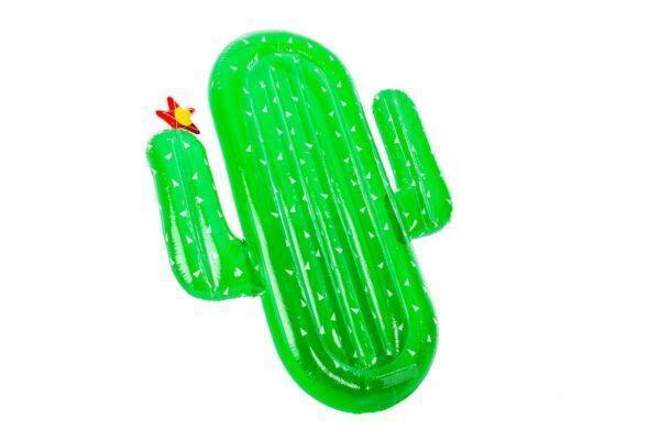 Gonfiabile Cactus Gigante